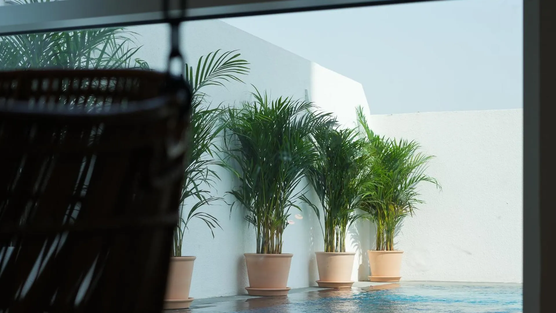 דובאי Shada Hotel Jumeirah Garden איחוד האמירויות הערביות