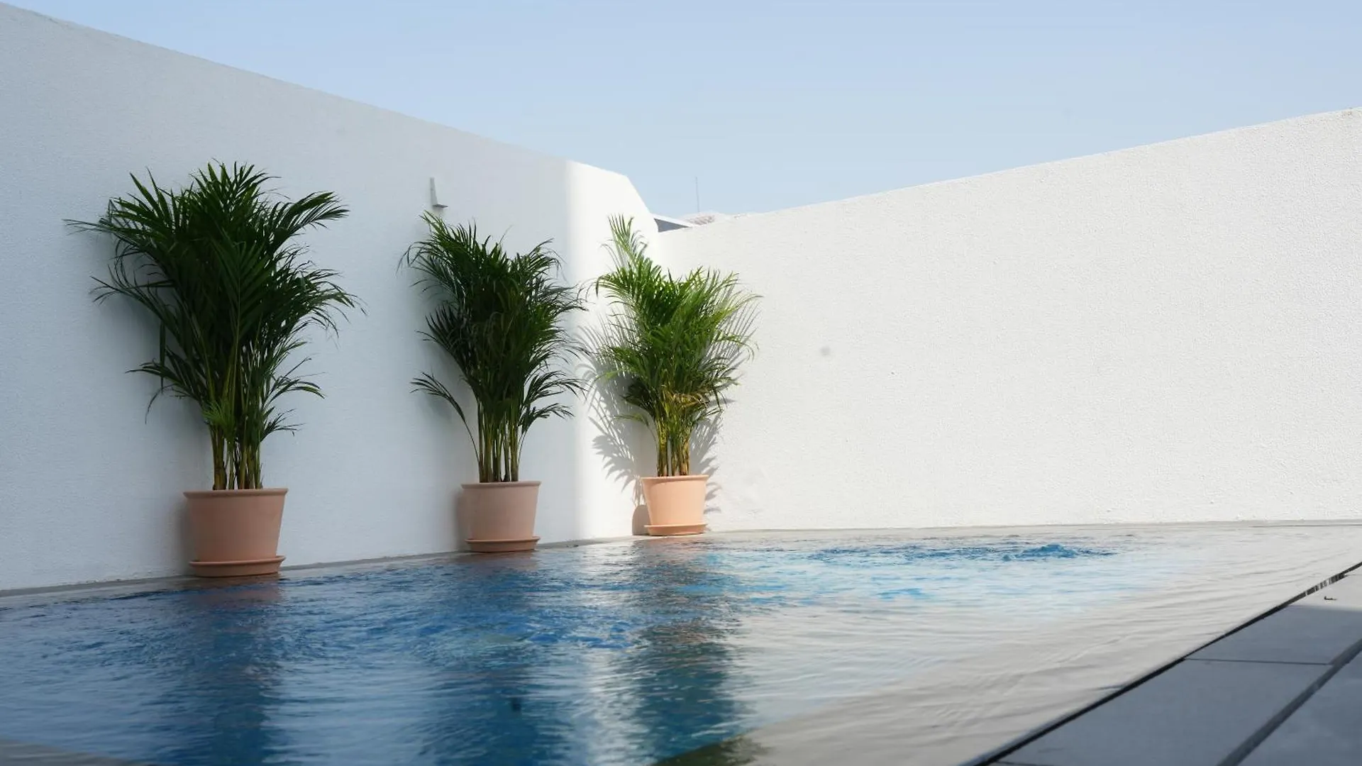 Shada Hotel Jumeirah Garden Дубай